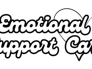 Emotional Support Car Decal